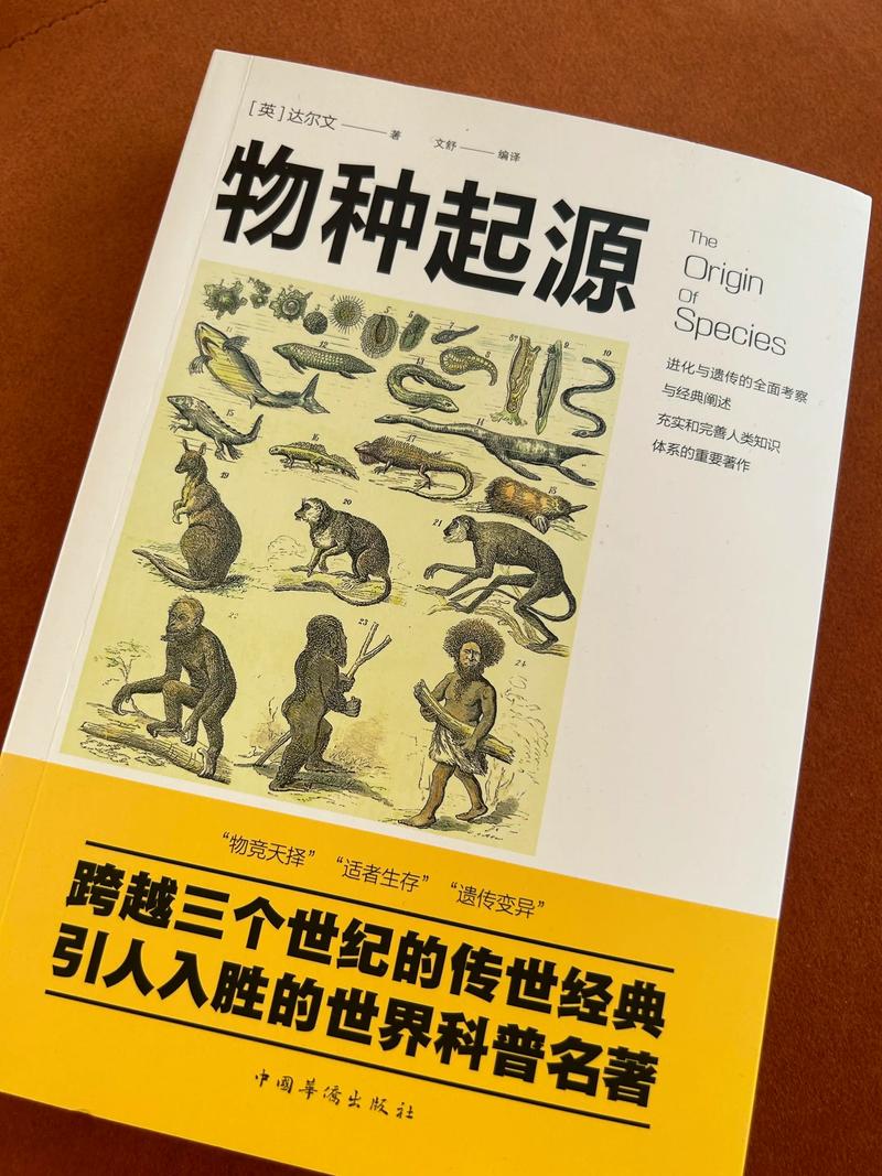 《回话的技术》全文在线阅读|高效沟通技巧指南