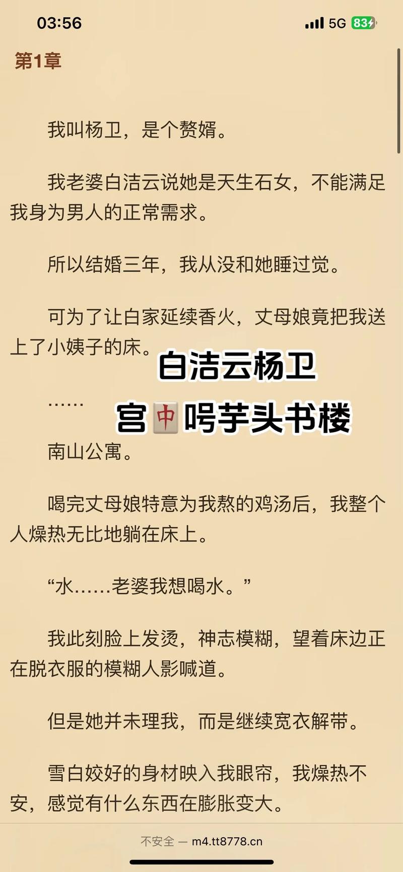 白洁全文免费在线阅读 | 无广告高清完整版