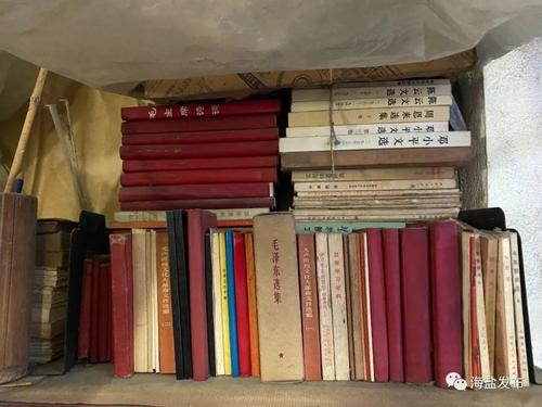 天涯在线阅读:重温经典社区文化的数字书香之旅