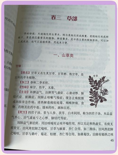 元媛小说全集在线阅读 | 热门作品免费章节