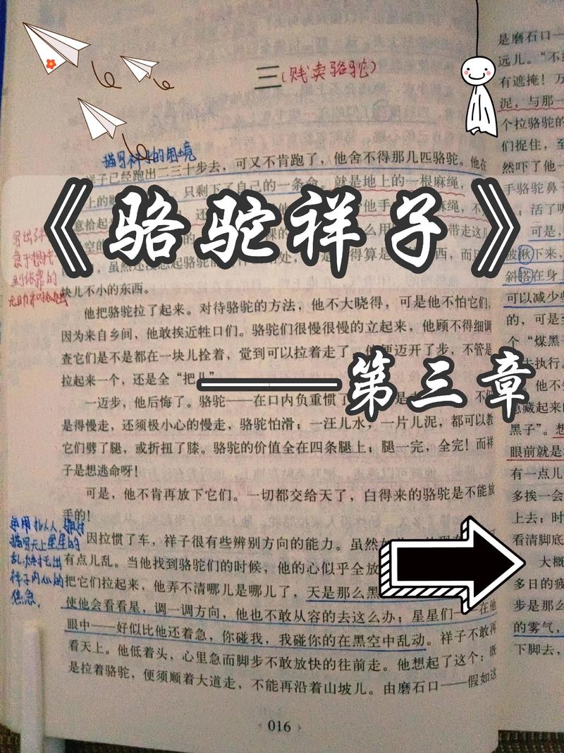 痴婆子传免费翻译全文在线阅读 | 白话文完整版