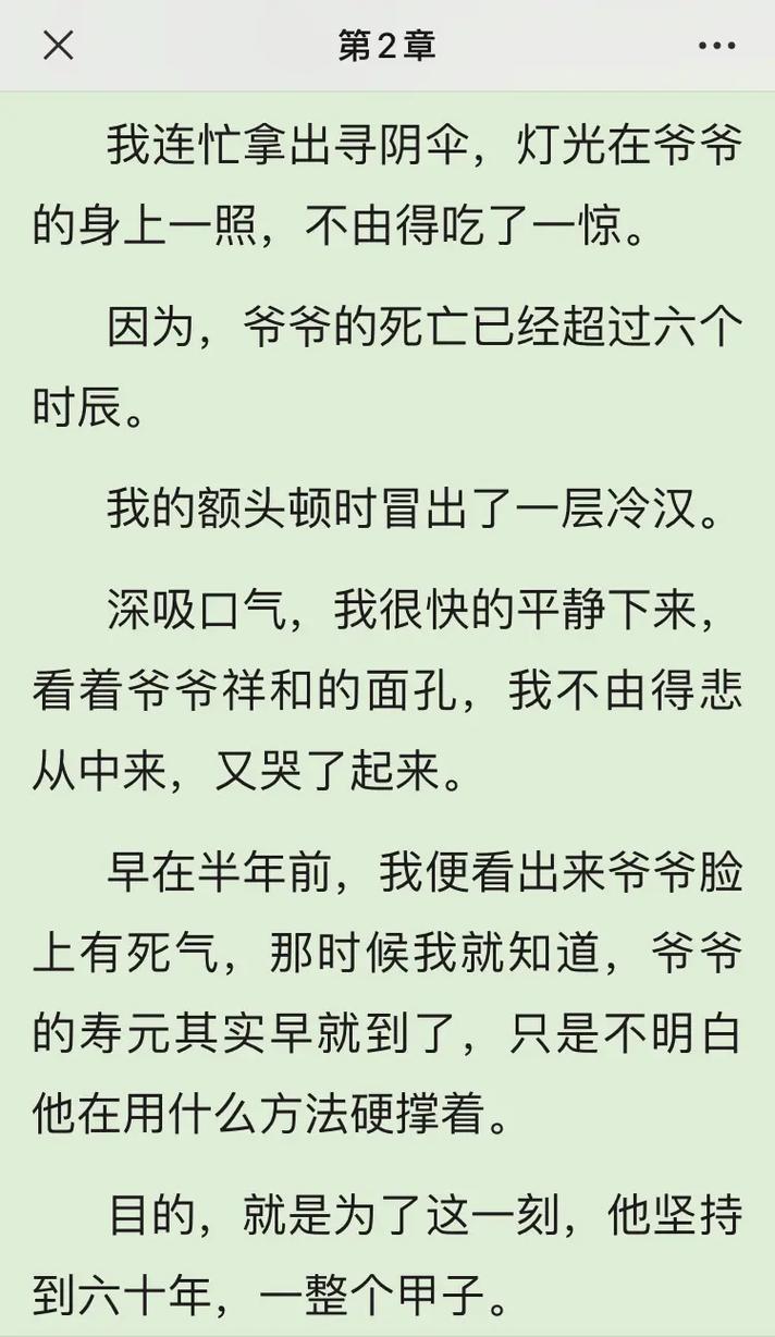 九龙抬棺张九阳林婉小说在线阅读