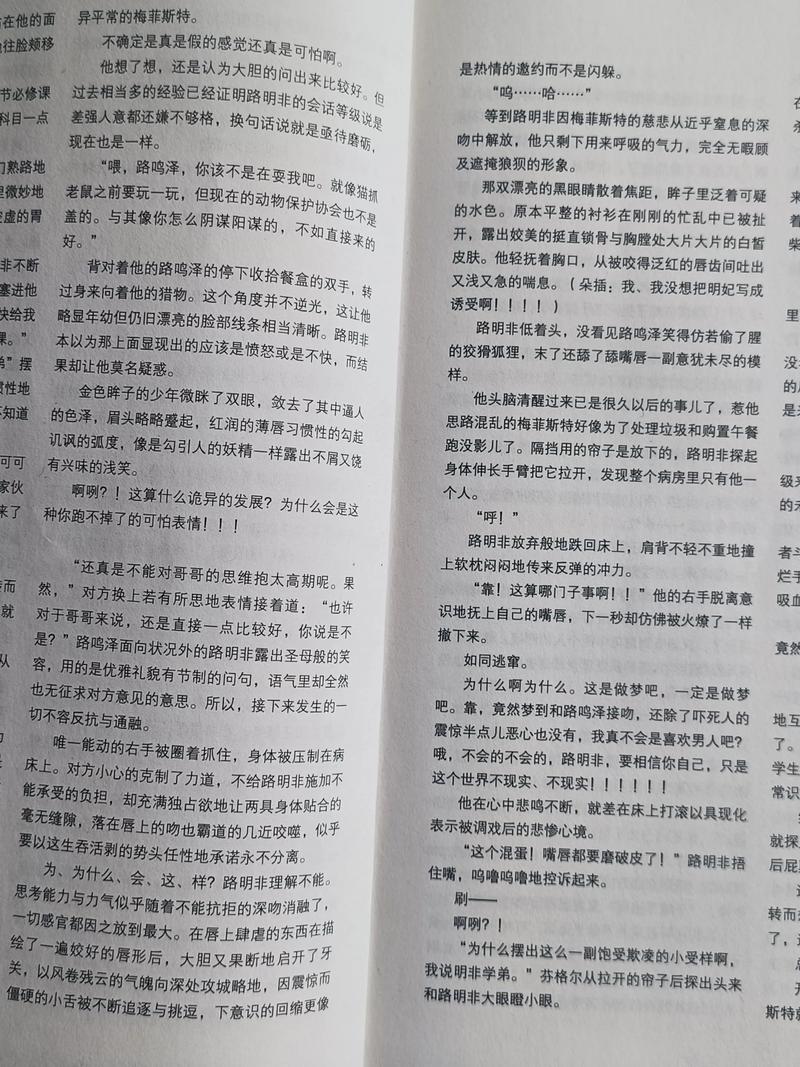红与黑在线阅读 | 司汤达经典名著全文无删减