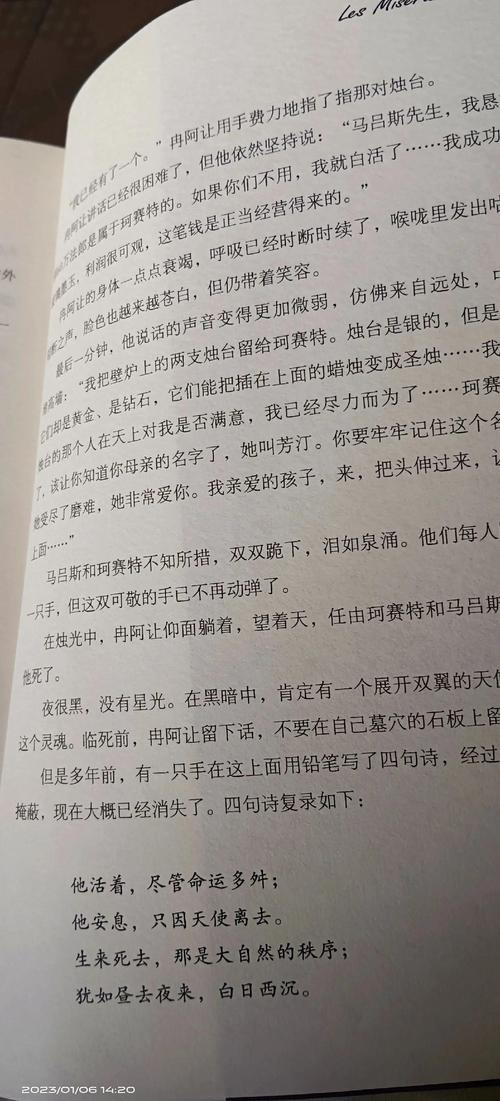 悲惨世界在线阅读 - 雨果经典名著全文免费阅读