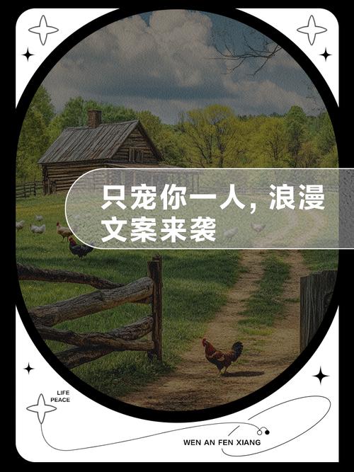 我楼上的女神在线无弹窗阅读 - 最新章节更新全文免费阅读
