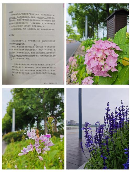 大团结在线阅读第35章 | 最新章节免费阅读