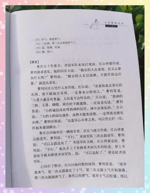 曹家将小说在线阅读 | 完整版免费章节更新