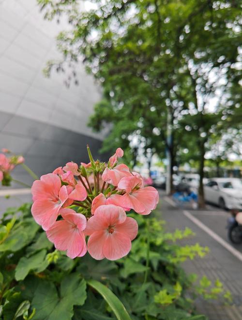 掌中之物小说在线阅读 | 傅慎行何妍经典虐恋全文