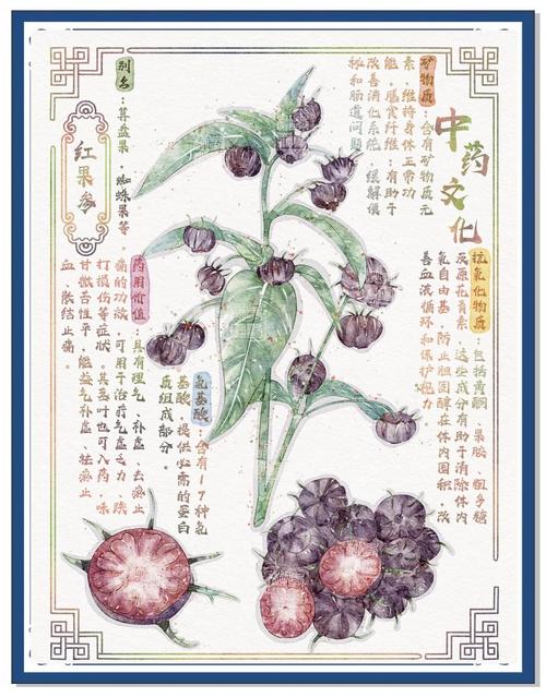 席娟小说全集在线阅读｜经典言情全收录