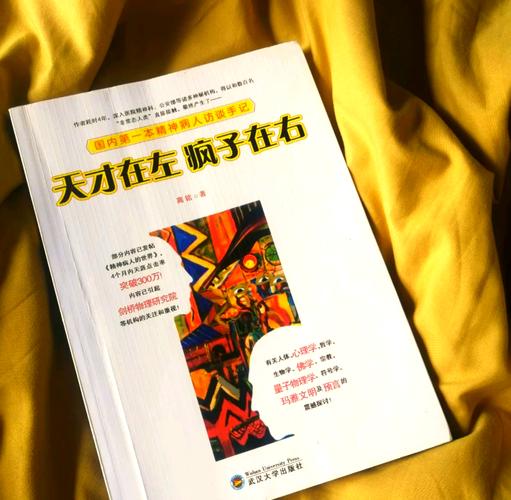 天才在左疯子在右在线阅读：精神病人的世界，颠覆认知的对话实录