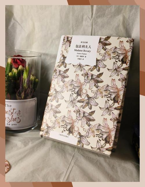 包法利夫人在线阅读 | 福楼拜经典名著完整版免费读