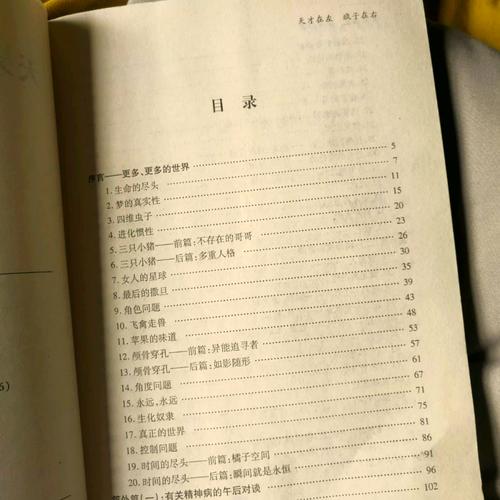 天才在左疯子在右在线阅读：精神病人的世界，颠覆认知的对话实录