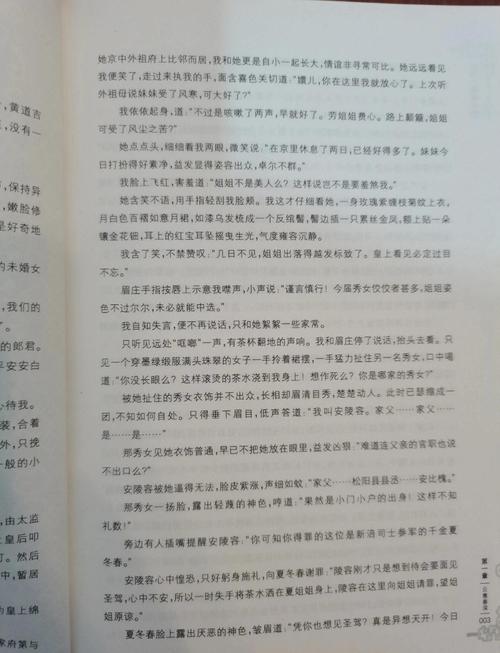 掌权人全文免费在线阅读，热门小说推荐