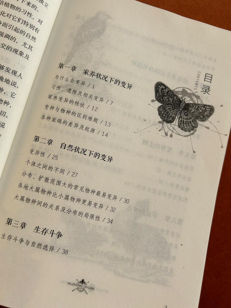 召唤万岁漫画在线阅读 | 免费高清完整版